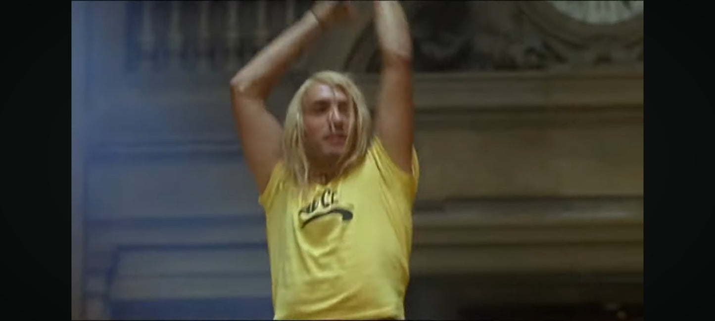 DVD : brice de nice