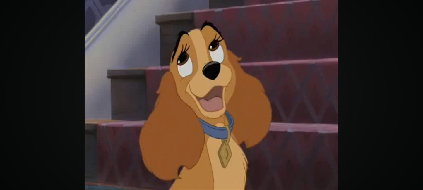 DVD : la belle et le clochard 2