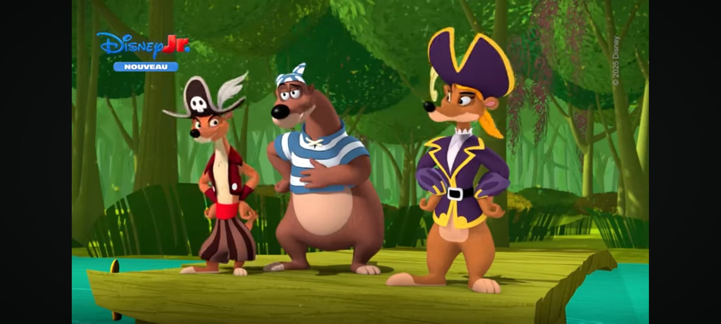 DVD : la maison de mickey conte et surprise