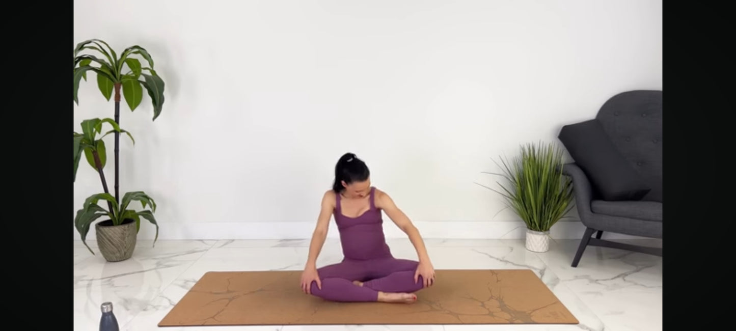 DVD : pregnancy health yoga