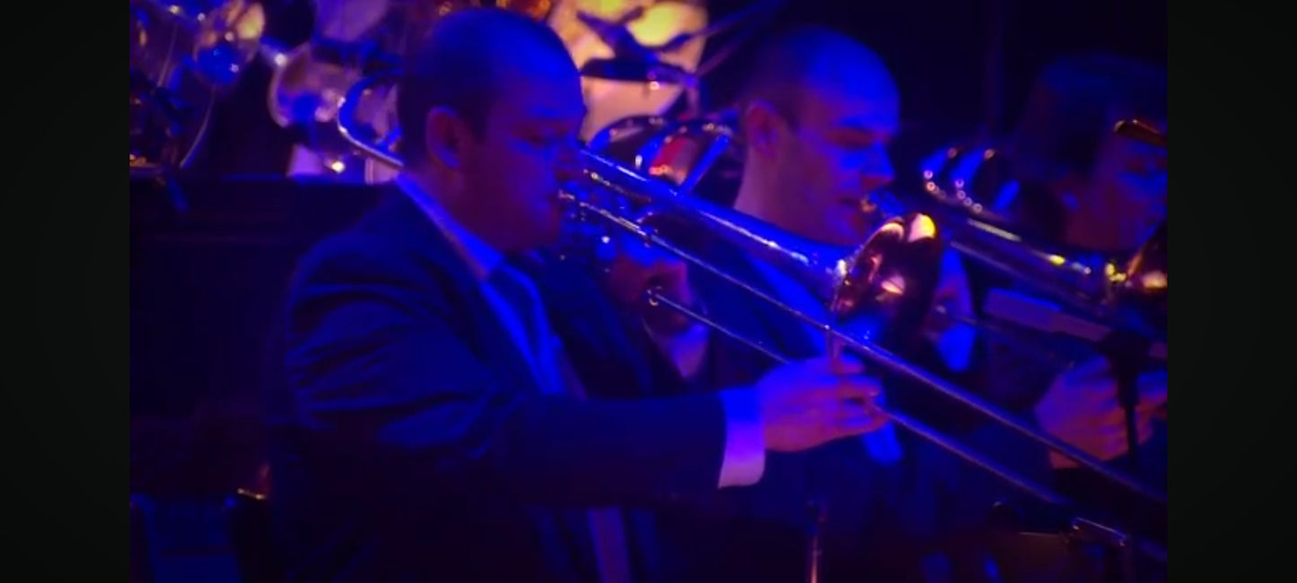 DVD : Laurent Gerra au palais des sports