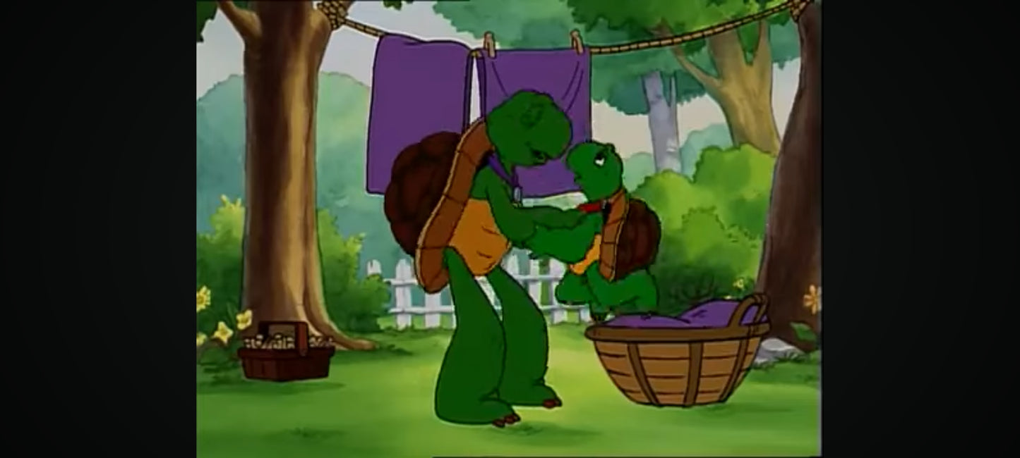 DVD : Franklin le héros