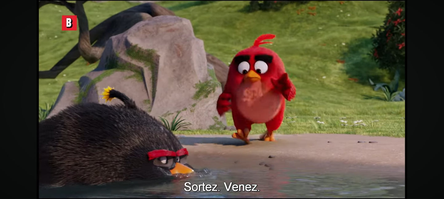 DVD : angry birds le film