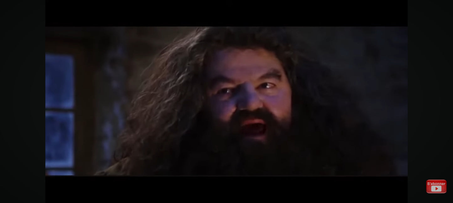 DVD : harry potter à l'école des sorciers en