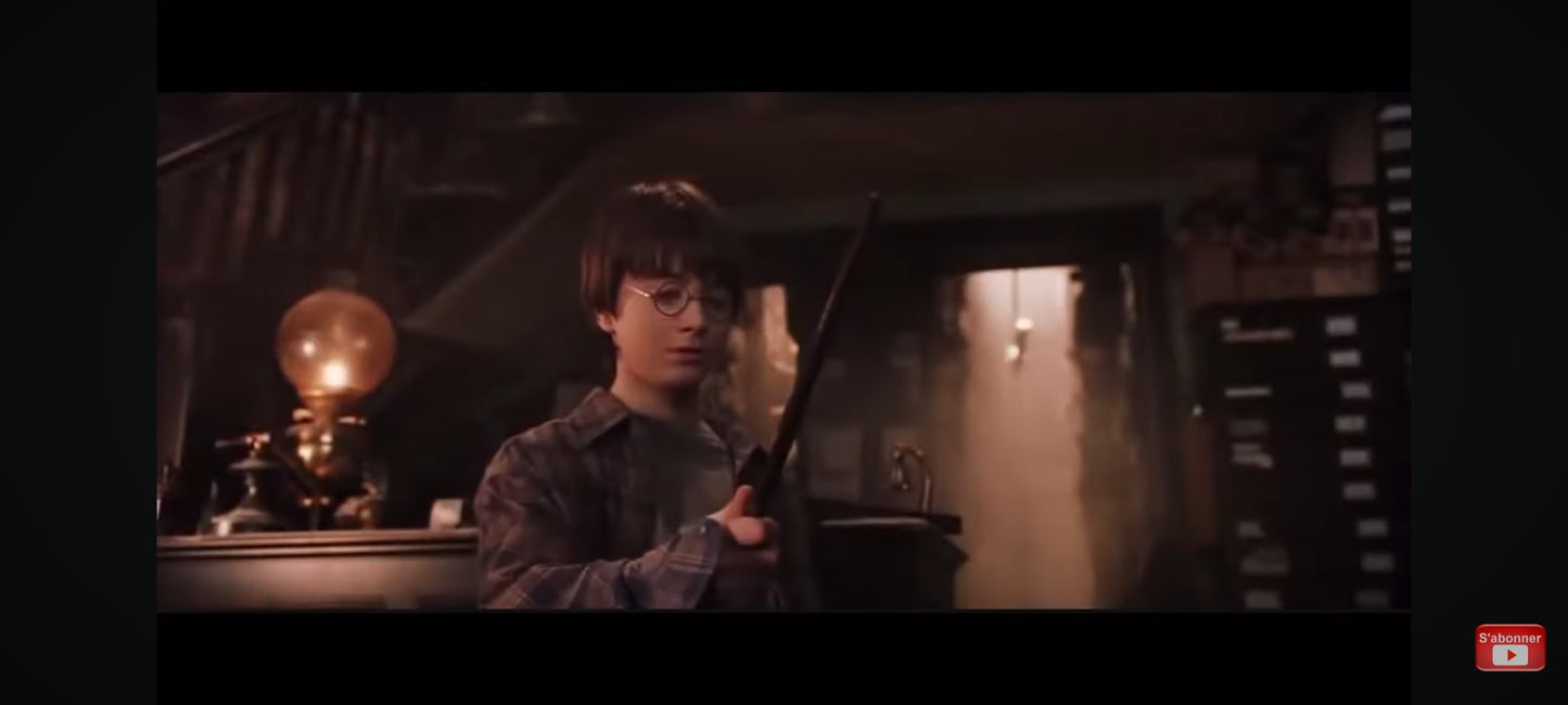 DVD : harry potter à l'école des sorciers en