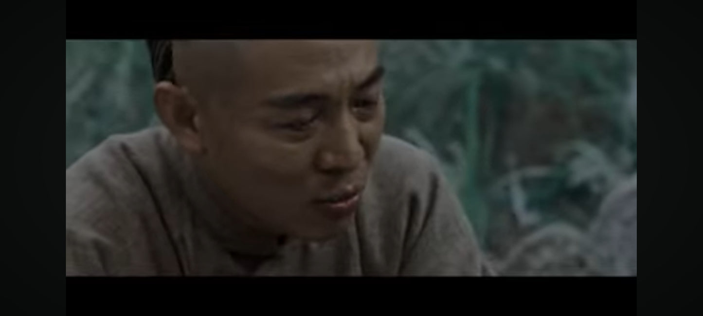 DVD : jet li le maitre d'arme en