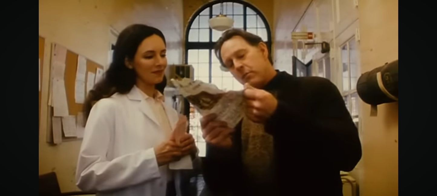 DVD : l'armée des 12 singes