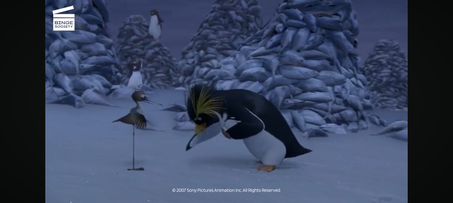 DVD : les rois de la glisse