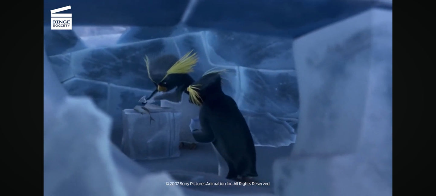 DVD : les rois de la glisse