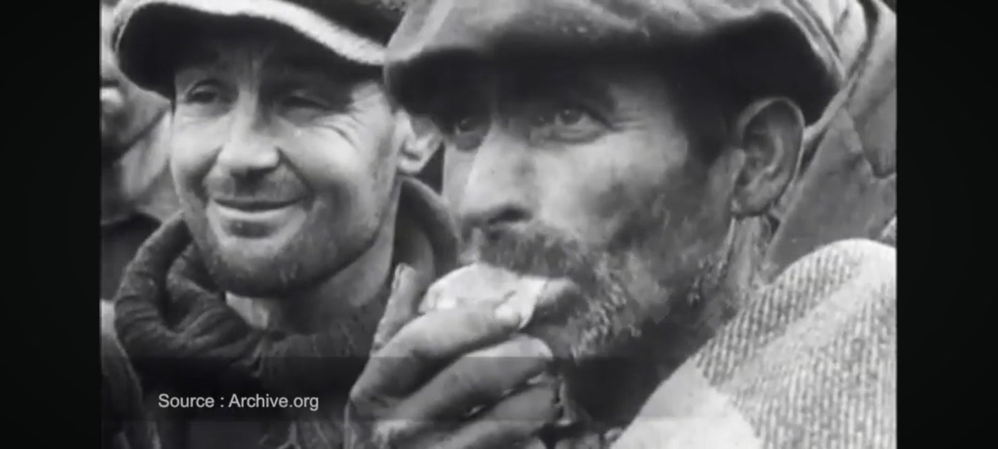 DVD : Franco un dictateur