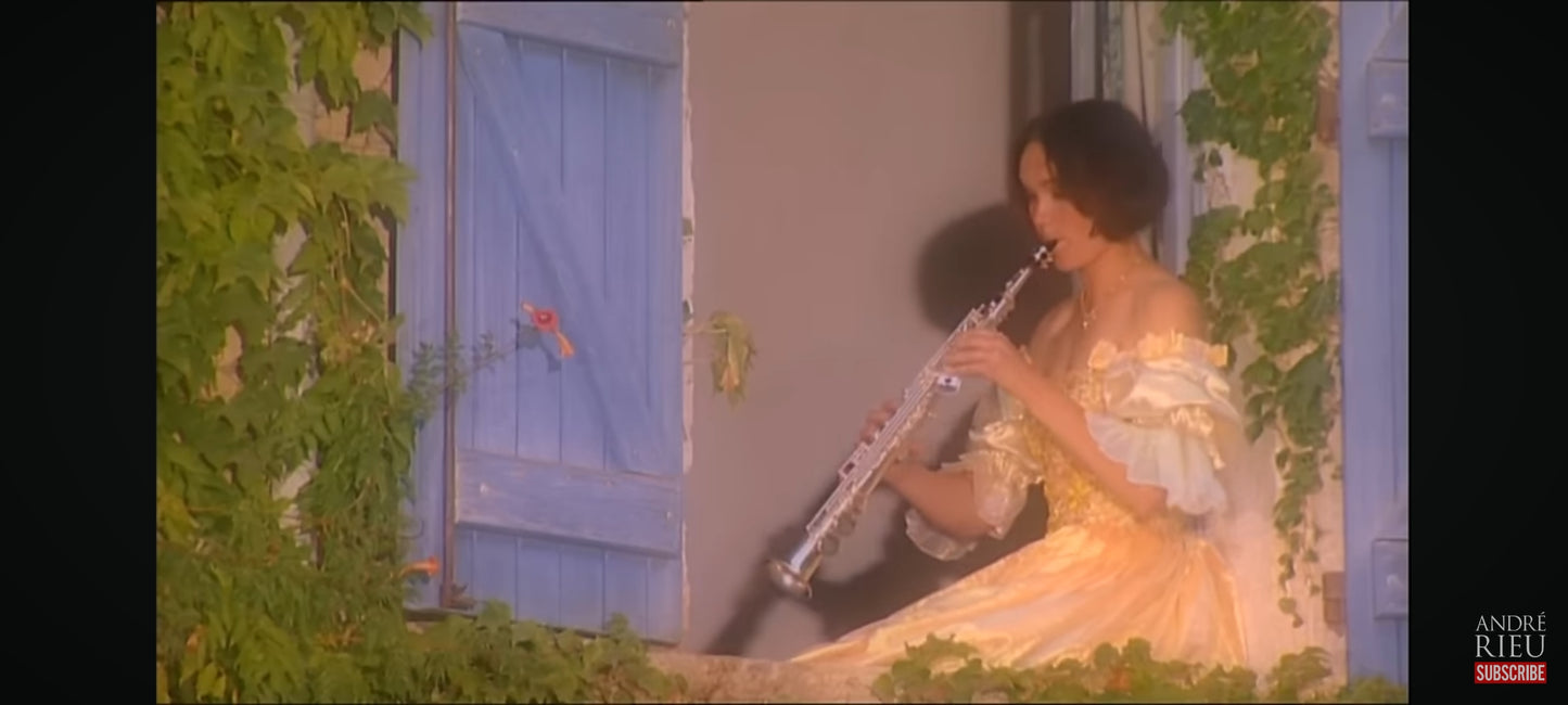 DVD : andré rieu la vie est belle