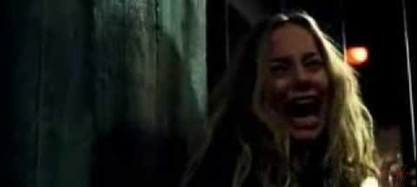 DVD : hostel chapitre 2