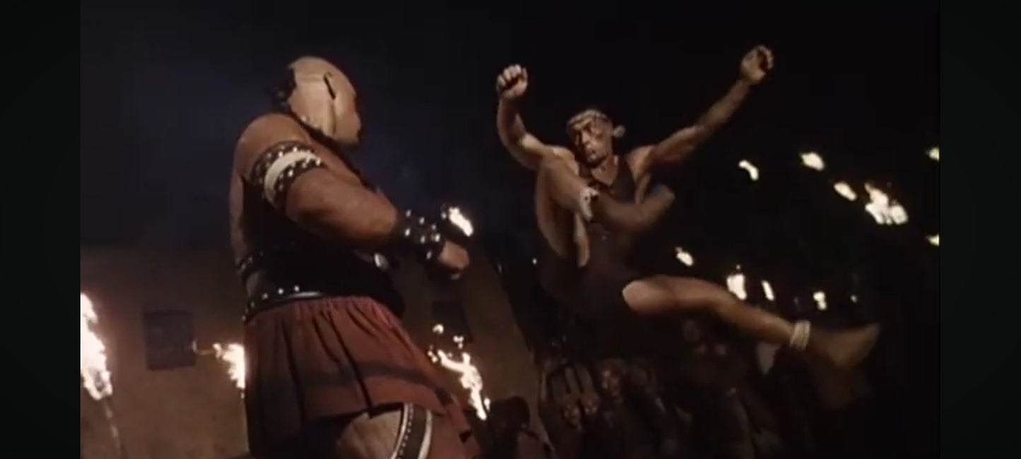 DVD : jean claude van damme le grand tournoi en