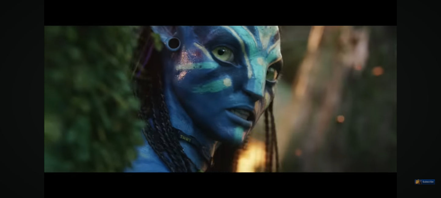 DVD : avatar