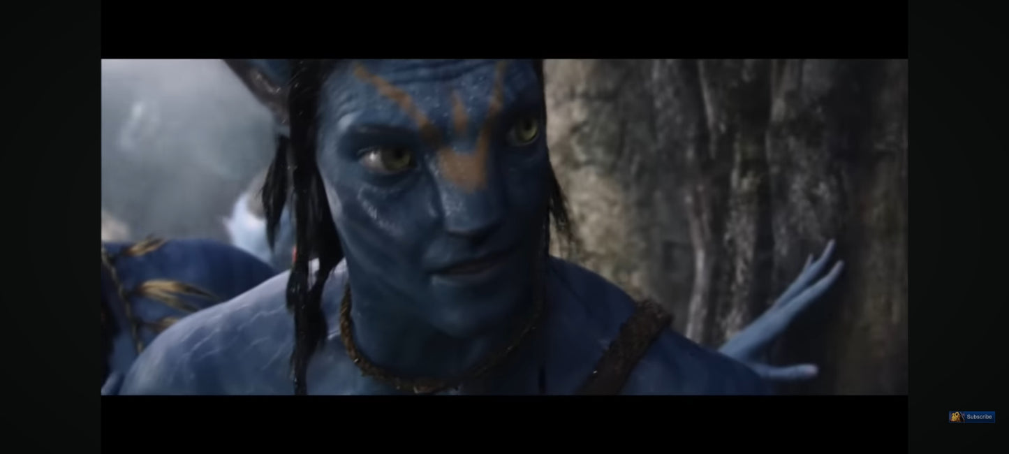 DVD : avatar