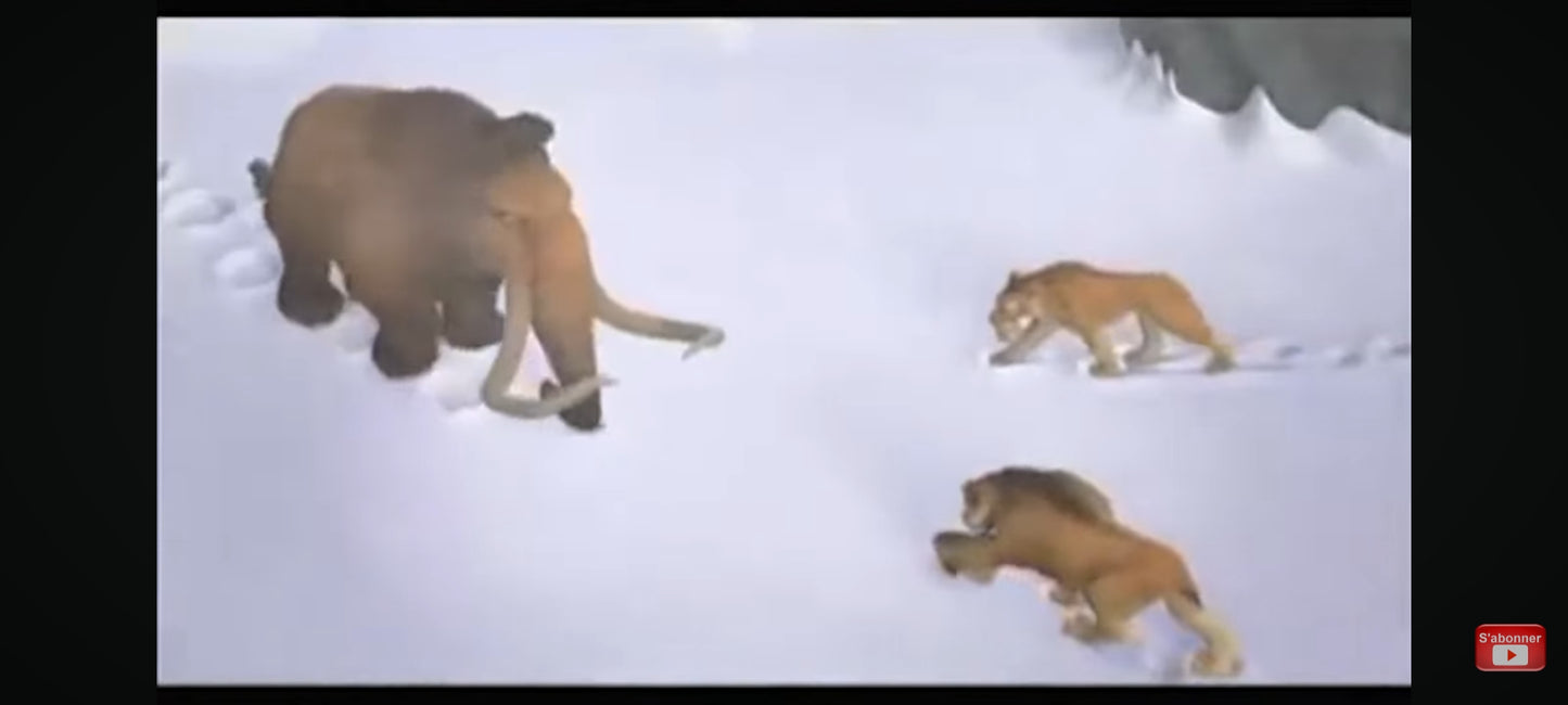 DVD : l'âge de glace