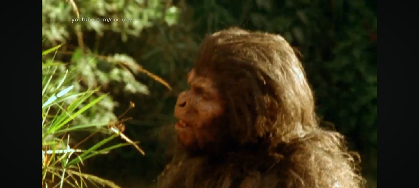 L’Odyssée de l’Espèce – Édition Collector DVD