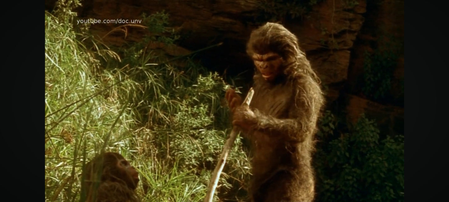 L’Odyssée de l’Espèce – Édition Collector DVD