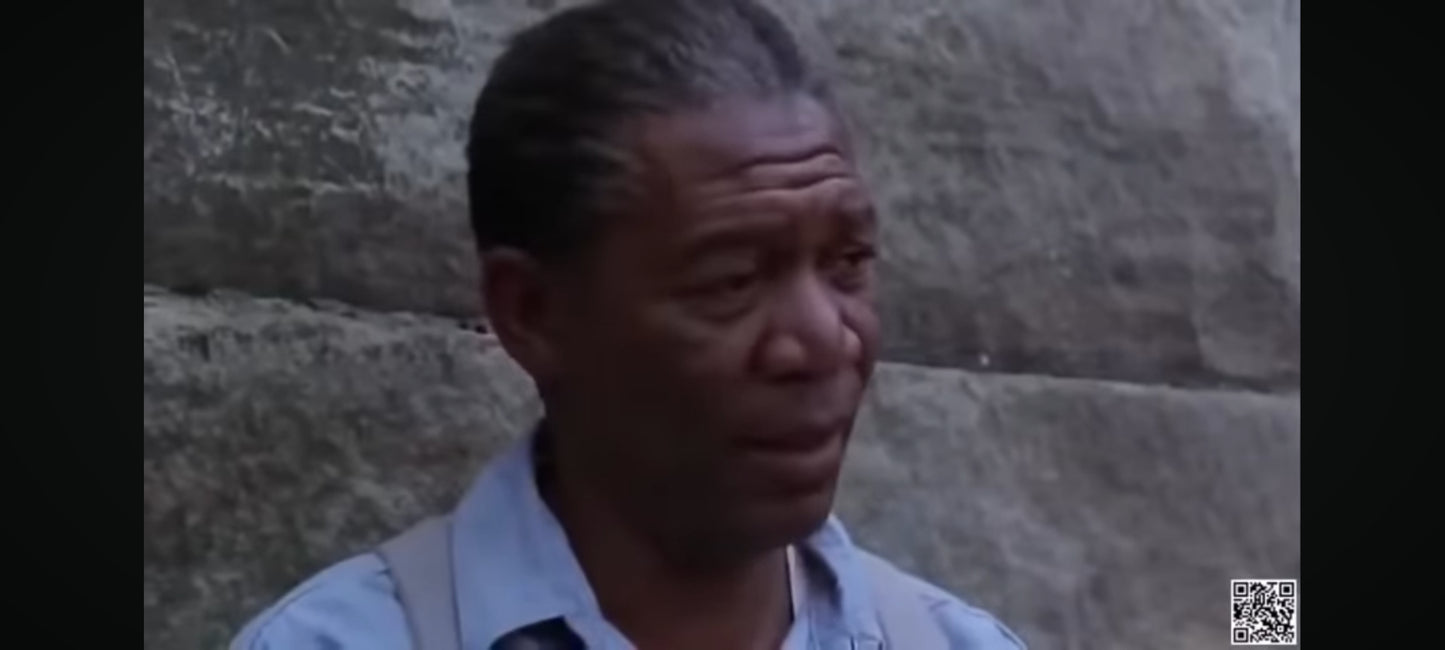 the shawshank redemption film complet en francais DVD état Par