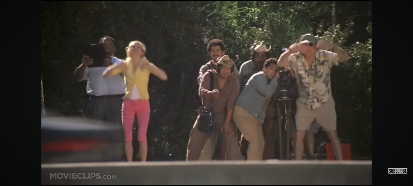 Bowfinger the con is on DVD