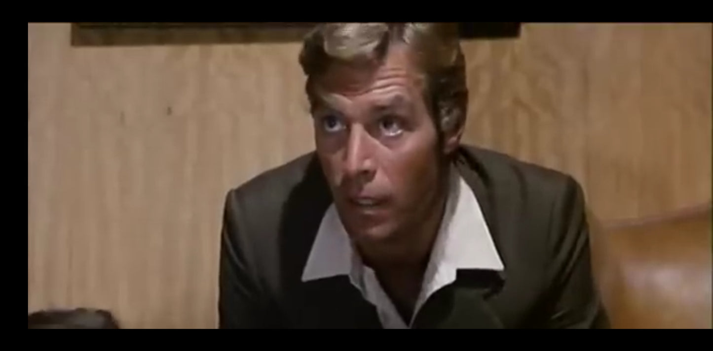 DVD : Le chat a neuf queue