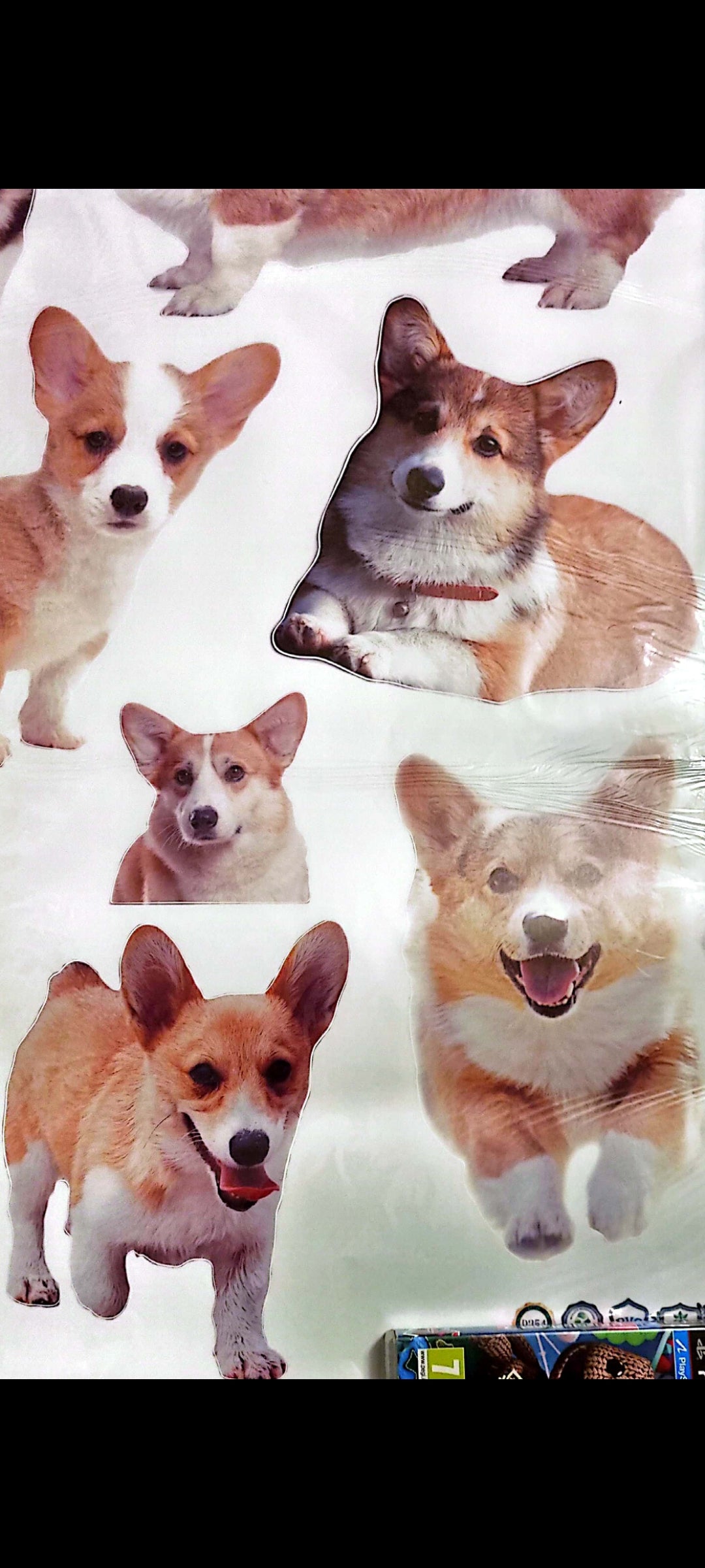 Stickers : Sticker mural Corgi – Chiens adorables – Grand format 90x60 cm – Décoration murale chambre, salon ou bureau – neuf 8