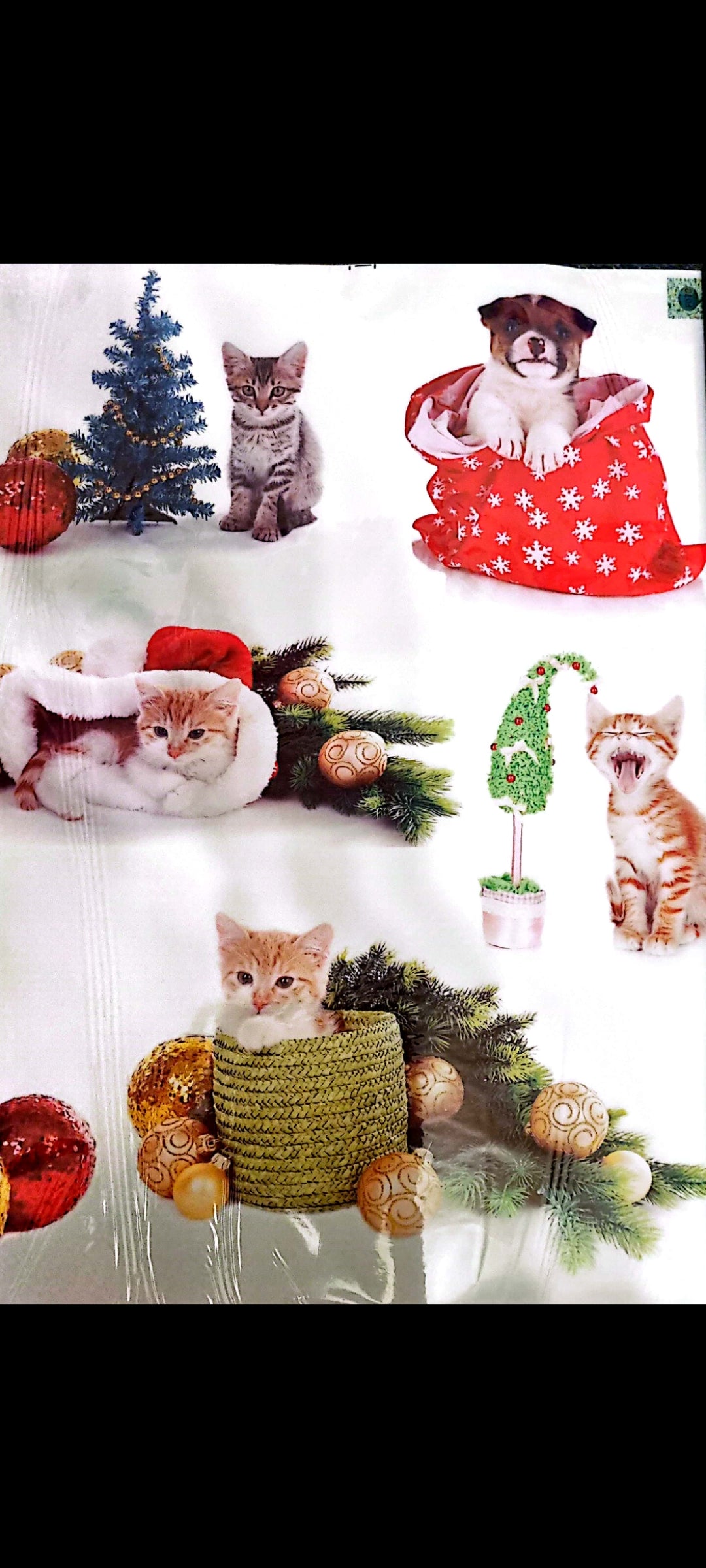 Stickers muraux Chatons de Noël – Grand format 90x60 cm – Déco festive, mignon, animaux, chambre enfant, salon, exclusif – 8