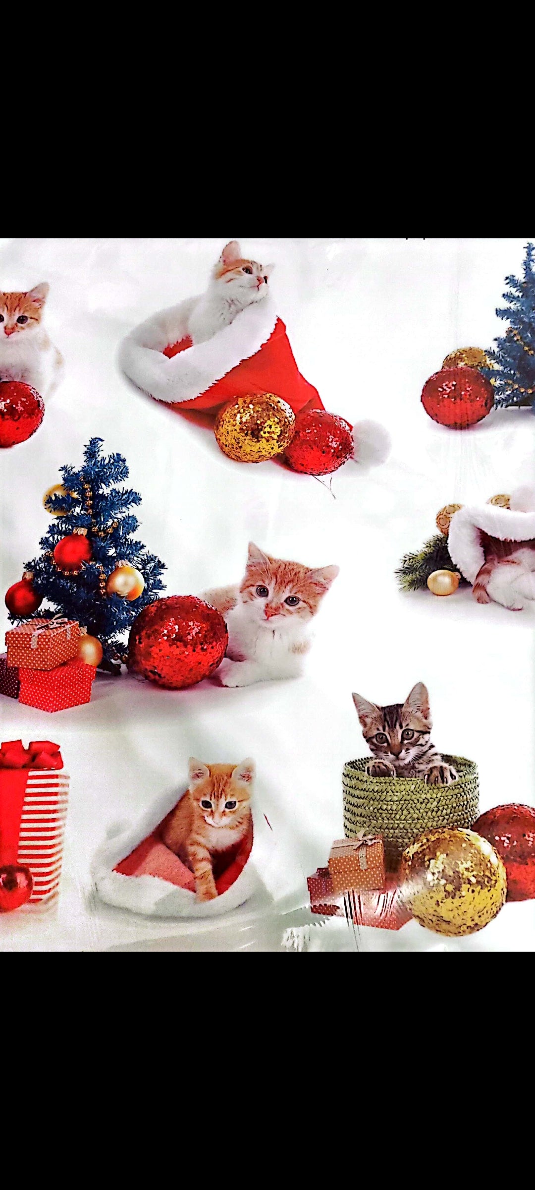 Stickers muraux Chatons de Noël – Grand format 90x60 cm – Déco festive, mignon, animaux, chambre enfant, salon, exclusif – 8