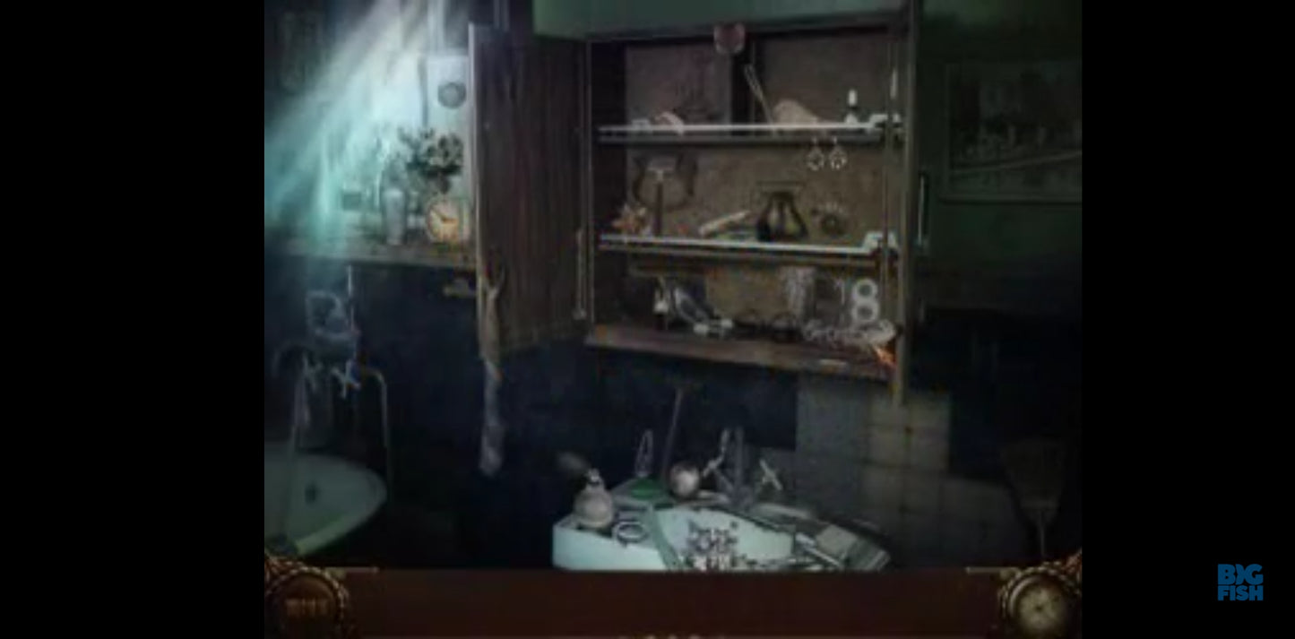 Jeu vidéo PC : vampire Saga