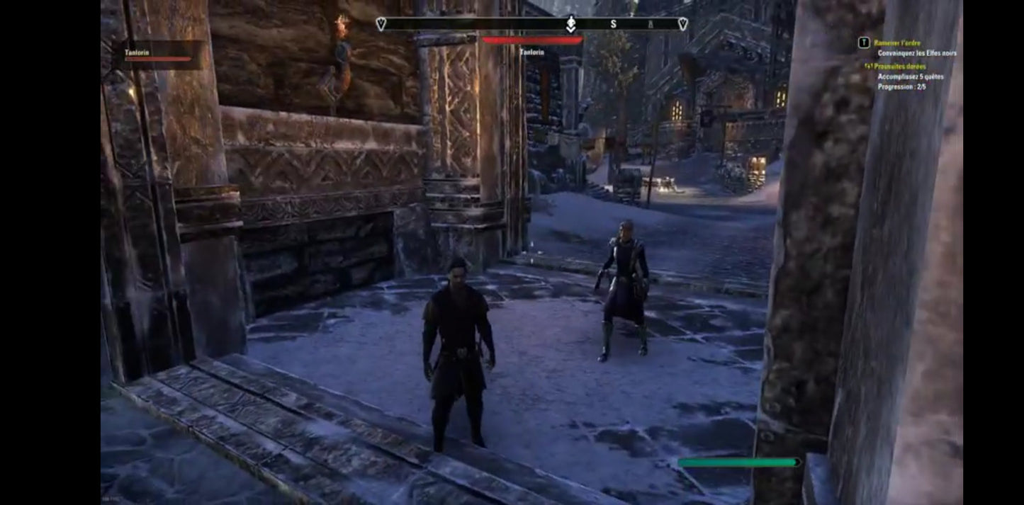 Jeu vidéo PC : the elder scrolls online