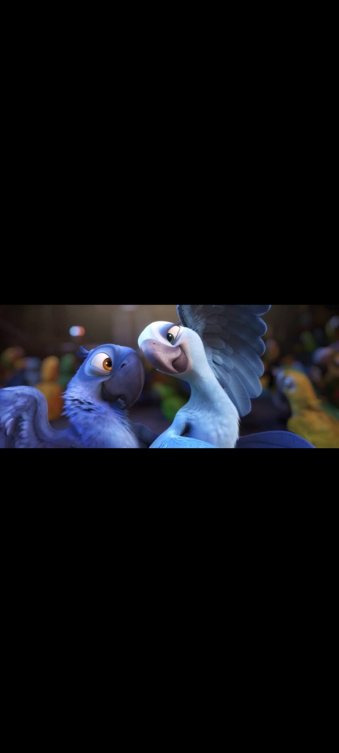 Rio - DVD Blue Sky / 20th Century Fox