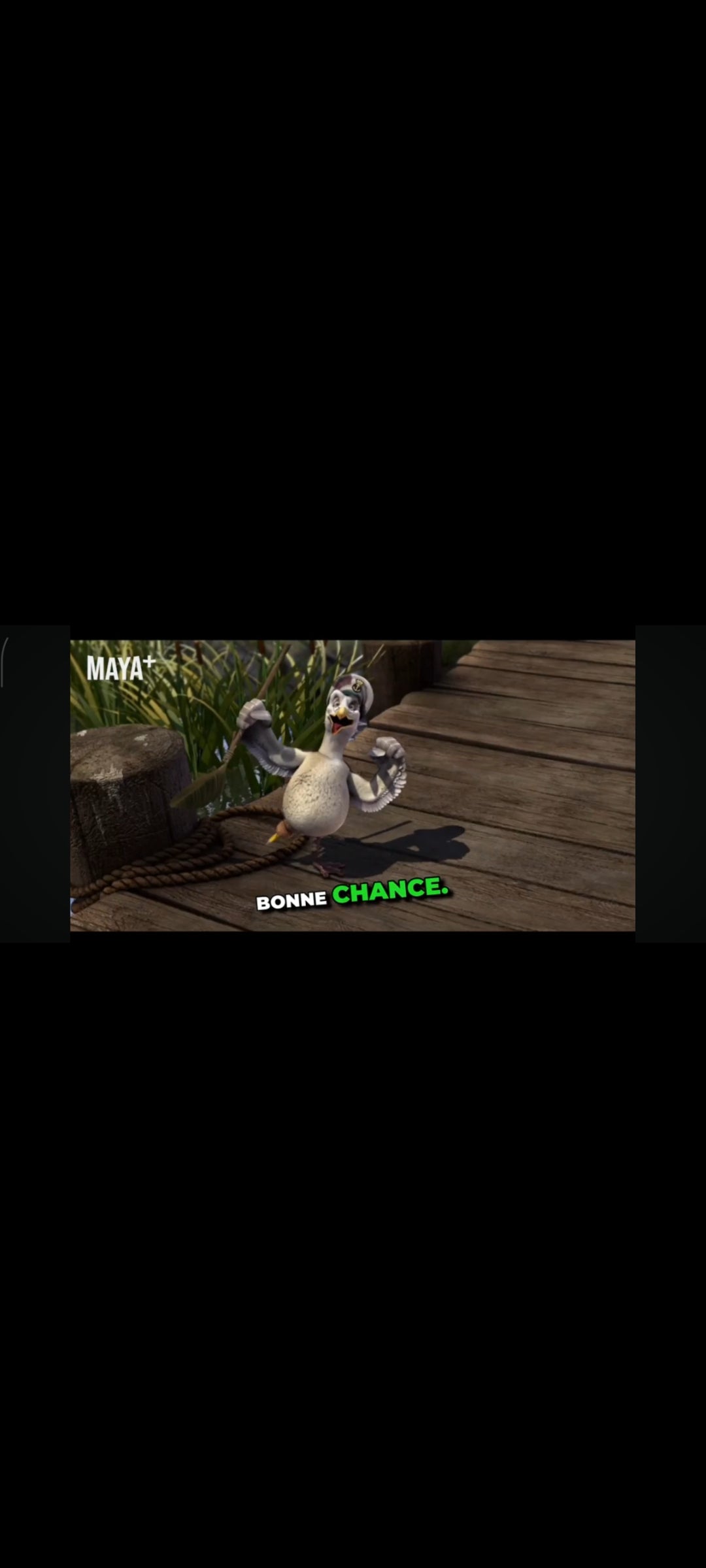 Vaillant, Pigeon de Combat ! - DVD