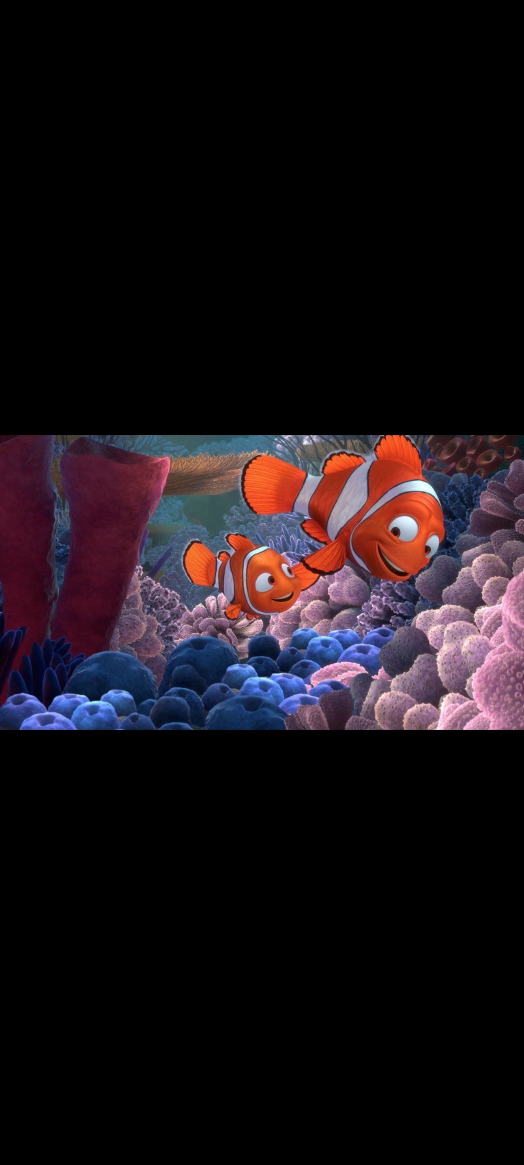 DVD Le Monde de Nemo – Édition Collector 2 DVD – Disney Pixar – VF