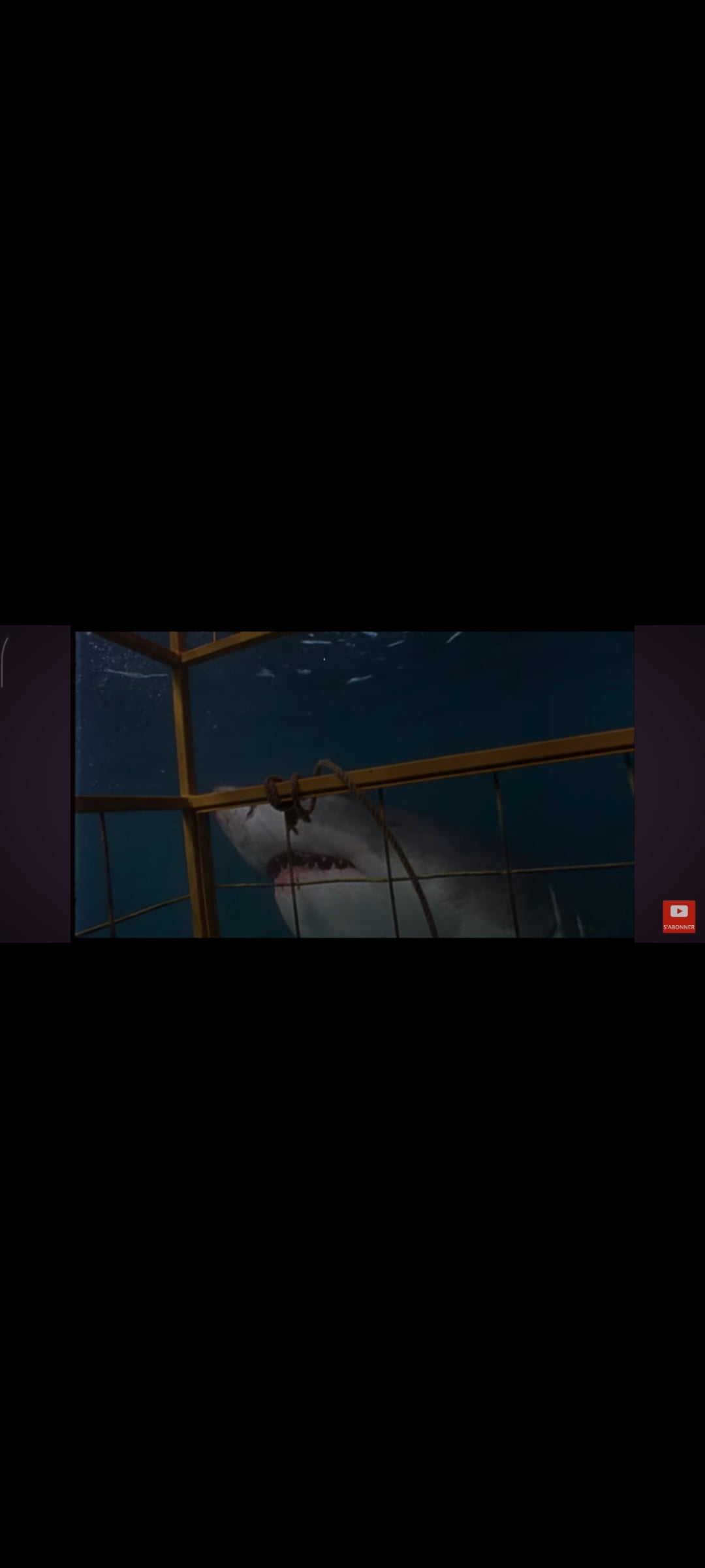Shark Attack - DVD | Casper Van Dien, Ernie Hudson | Thriller Aquatique | Zone 2