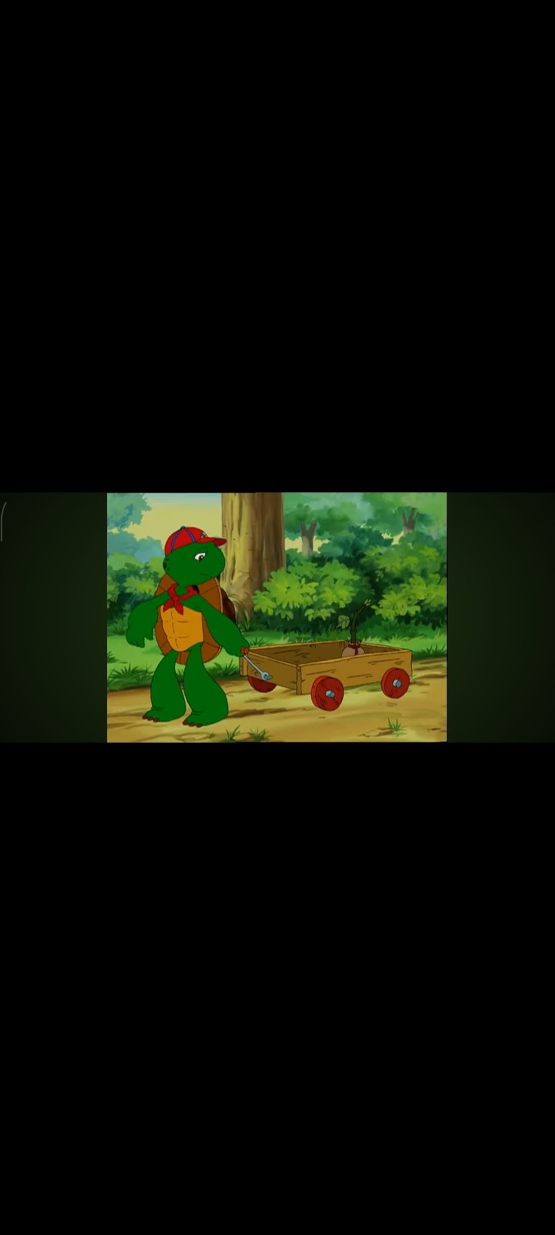 Franklin - Plante un Arbre - DVD La Série TV (Universal / Nelvana / Pomalux)