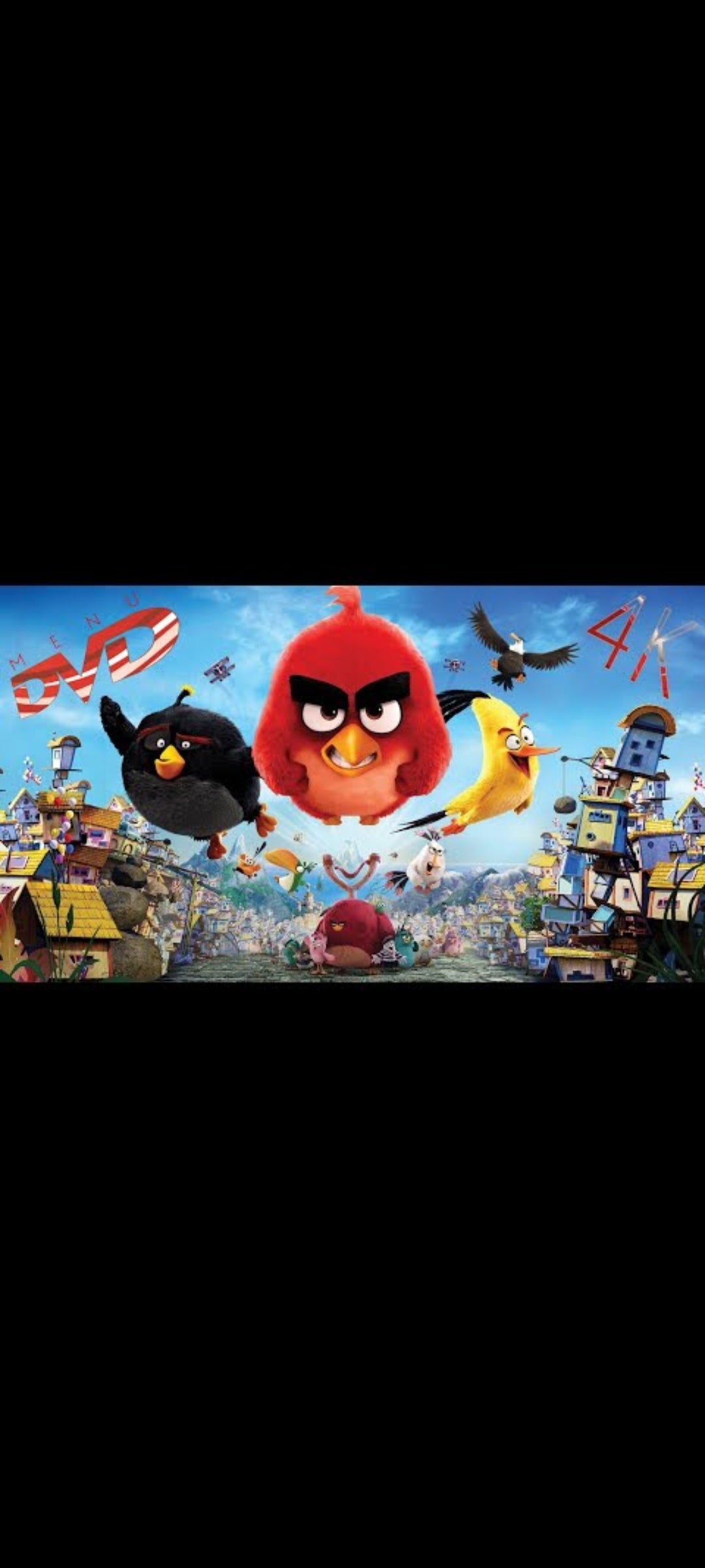 愤怒的小鸟 - 电影 - DVD + 数字版 UV (哥伦比亚影业 / Rovio / 索尼影视)