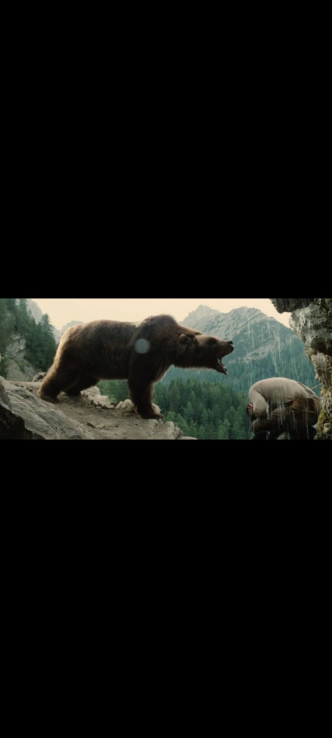 L’Ours – Bjørnen – DVD On Air Video – Édition danoise
