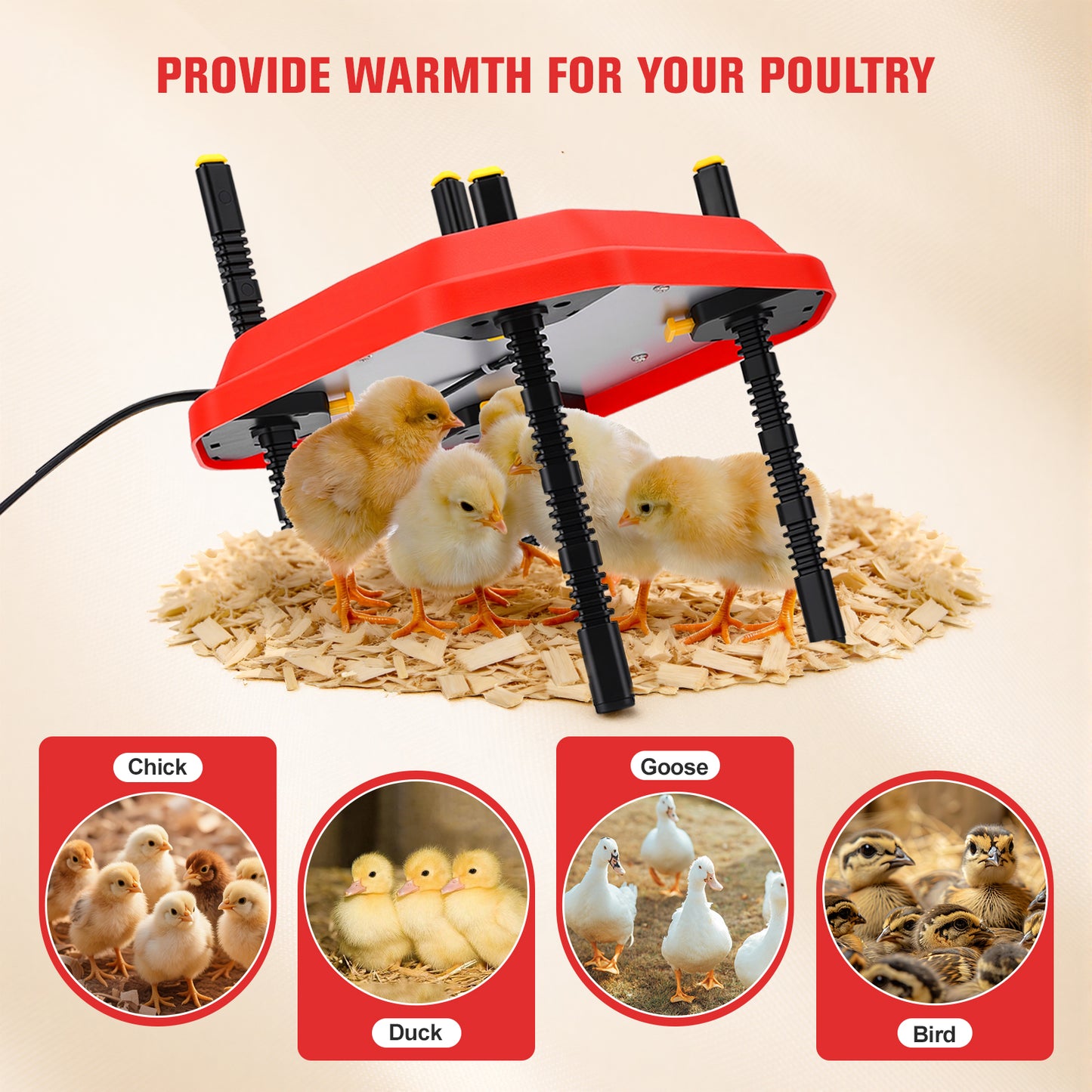Chauffe-Poussins 30W Réglable – Plaque Chauffante Élevage avec Hauteur et Angle Ajustables