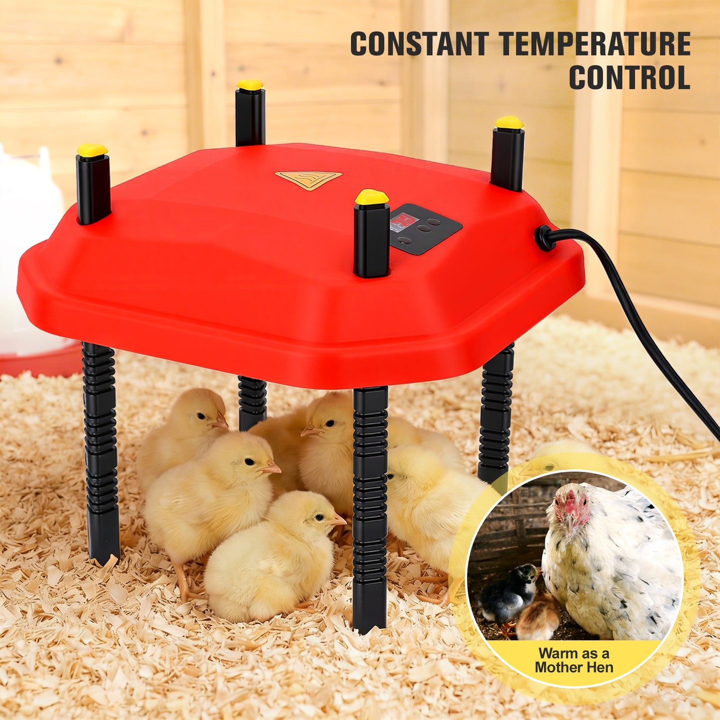 Chauffe-Poussins 30W Réglable – Plaque Chauffante Élevage avec Hauteur et Angle Ajustables
