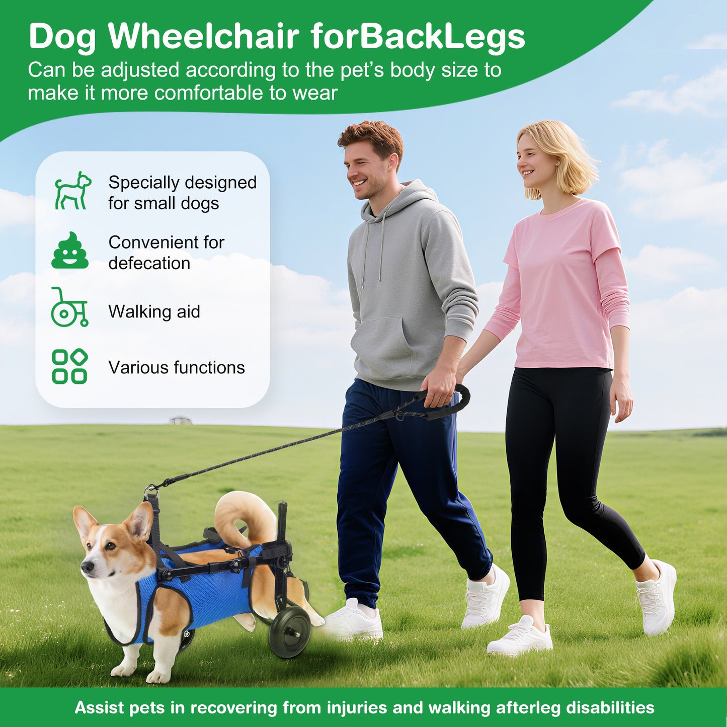 Chariot Rééducation Chien Chat – Aide Mobilité Réglable avec Roues – Support Marche Animal