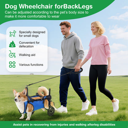 Chariot Rééducation Chien Chat – Aide Mobilité Réglable avec Roues – Support Marche Animal