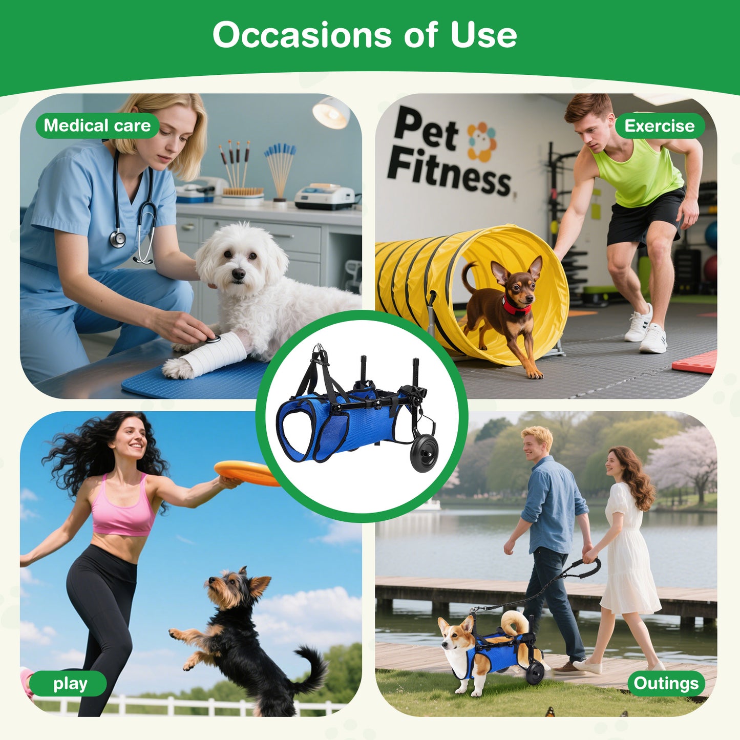 Chariot Rééducation Chien Chat – Aide Mobilité Réglable avec Roues – Support Marche Animal