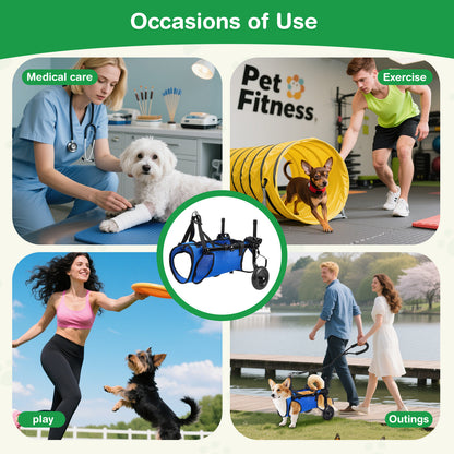 Chariot Rééducation Chien Chat – Aide Mobilité Réglable avec Roues – Support Marche Animal