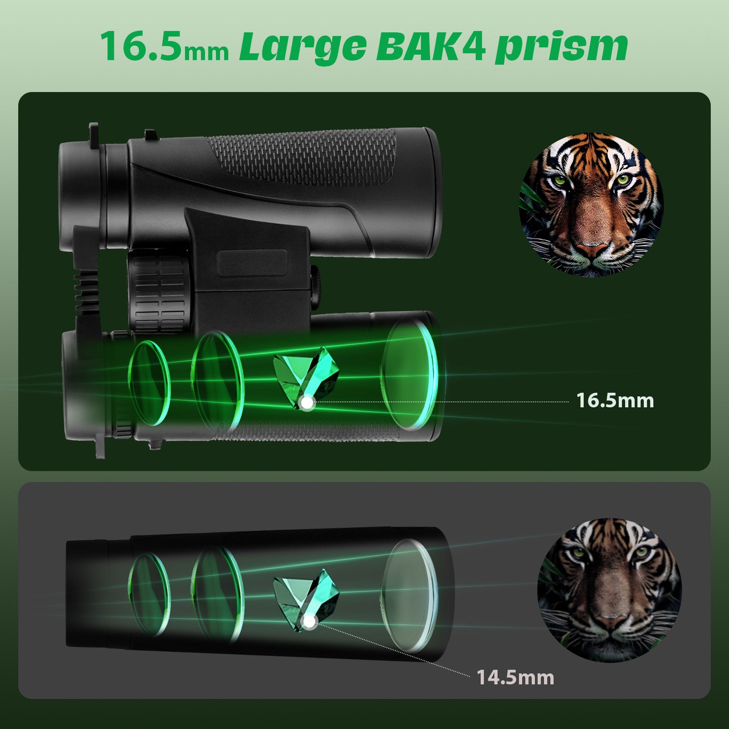 Jumelles 12x42 HD Étanches avec Prisme BAK4 – Vision Longue Distance, Antibuée, Compactes pour Randonnée, Observation Nature et Voyage