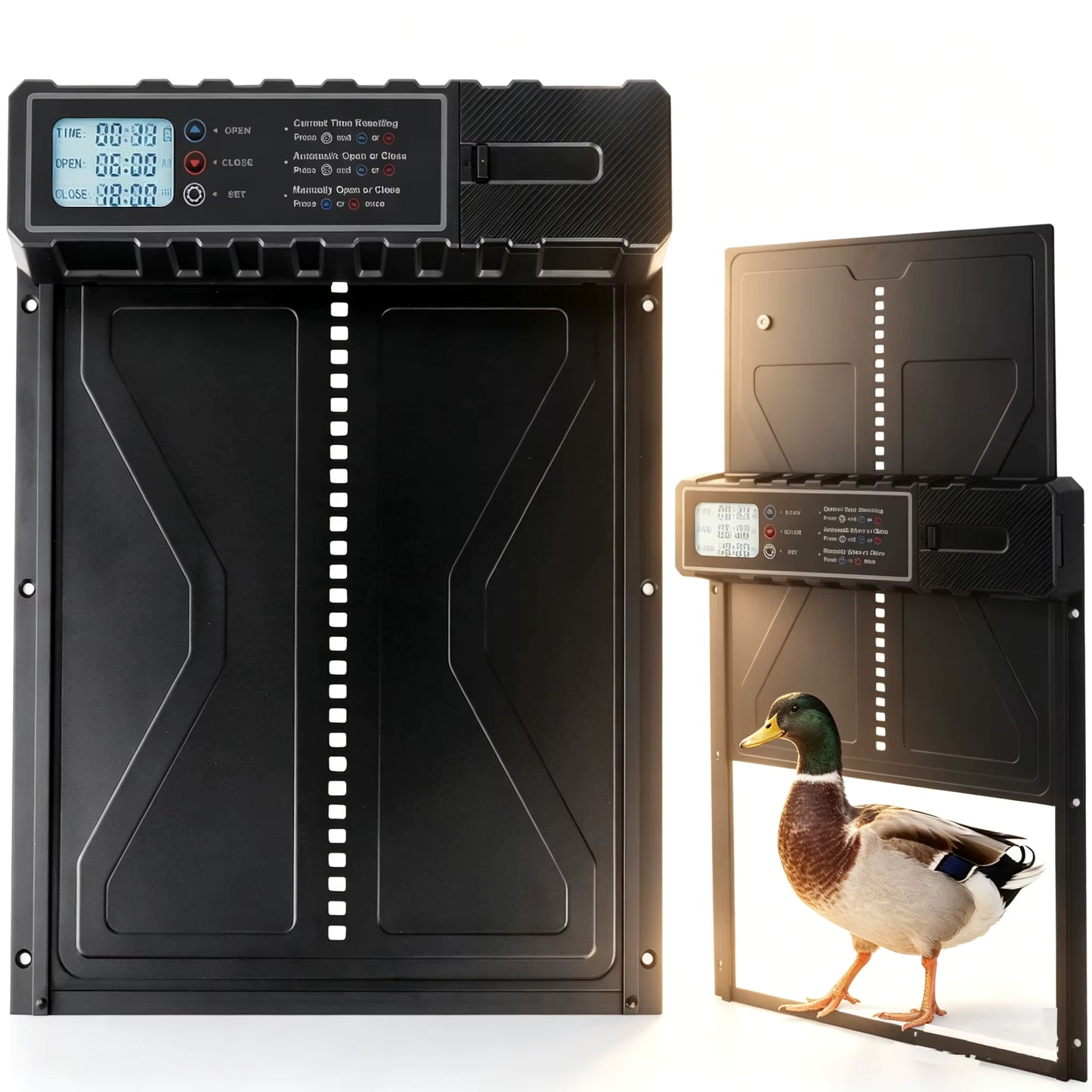 Porte Automatique pour Poulailler avec Capteur Anti-Pincement – Ouverture Fermeture Programmable – Porte Poule Intelligente Aluminium – Élevage Extérieur