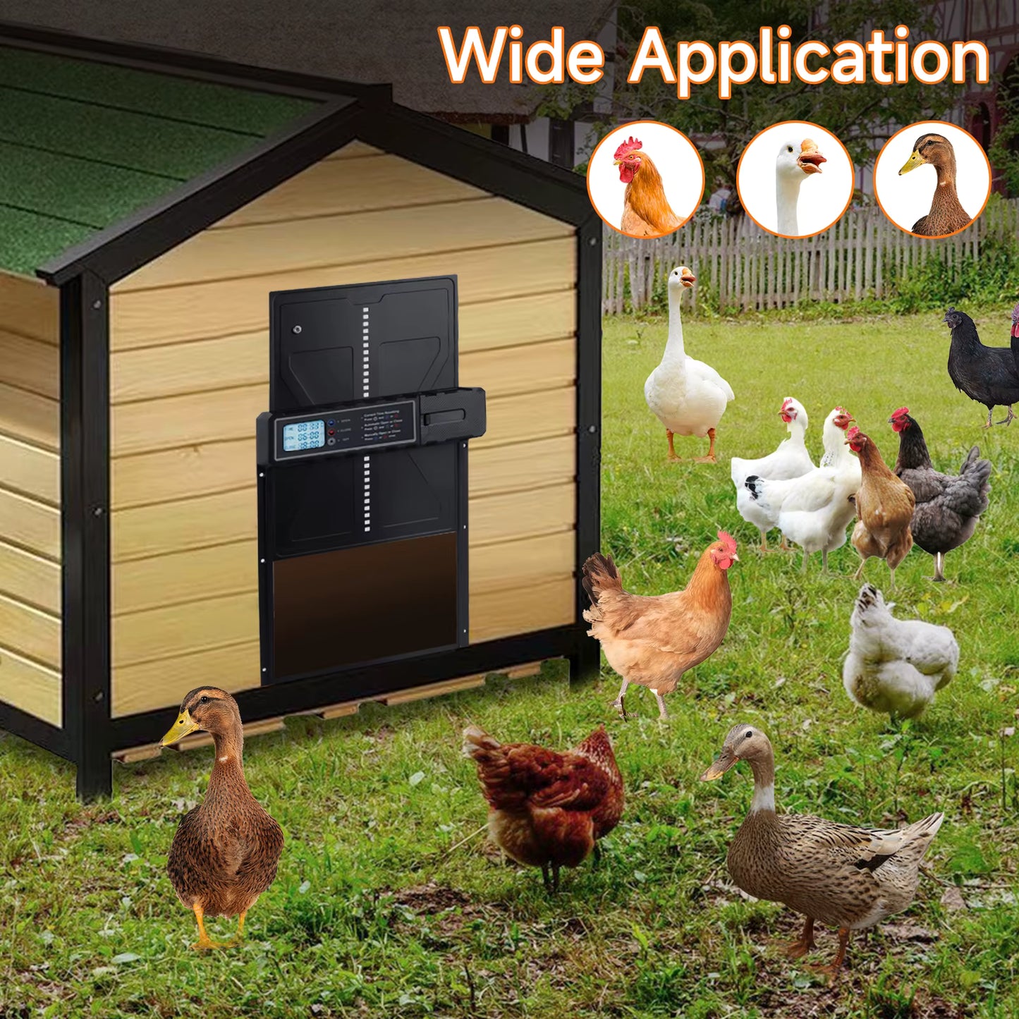 Porte Automatique pour Poulailler avec Capteur Anti-Pincement – Ouverture Fermeture Programmable – Porte Poule Intelligente Aluminium – Élevage Extérieur