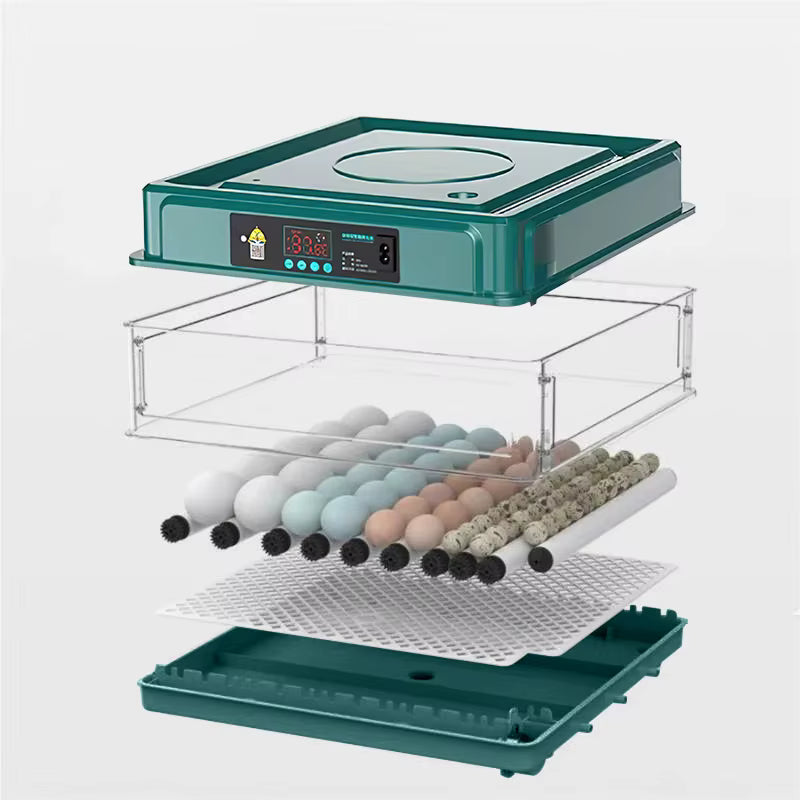 Couveuse à Œufs Automatique 24 Œufs avec Contrôle de Température – Remplissage d’Eau Externe – Incubateur Électrique pour Œufs de Poule et Volaille