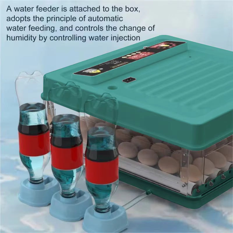 Couveuse à Œufs Automatique 24 Œufs avec Contrôle de Température – Remplissage d’Eau Externe – Incubateur Électrique pour Œufs de Poule et Volaille