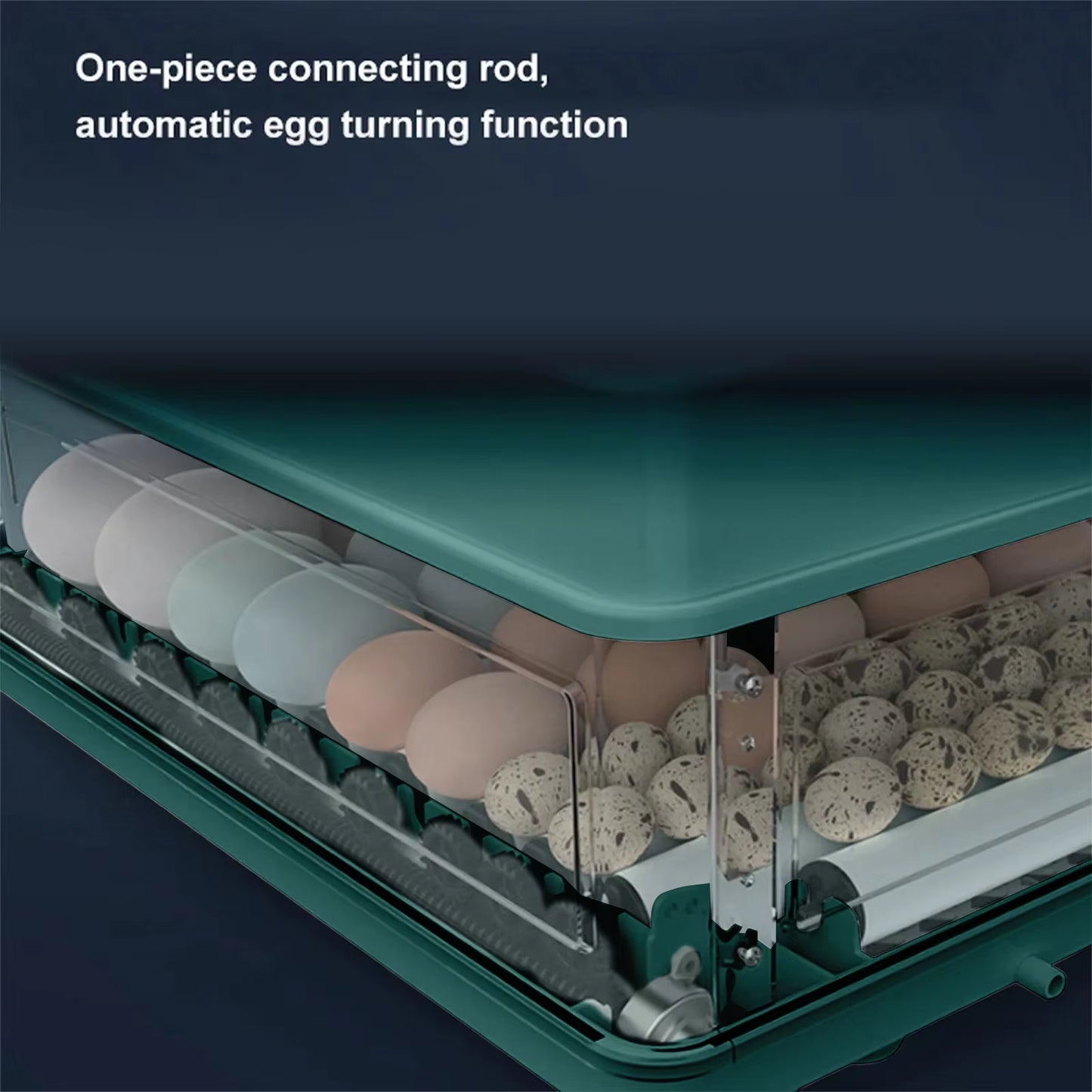 Couveuse à Œufs Automatique 24 Œufs avec Contrôle de Température – Remplissage d’Eau Externe – Incubateur Électrique pour Œufs de Poule et Volaille
