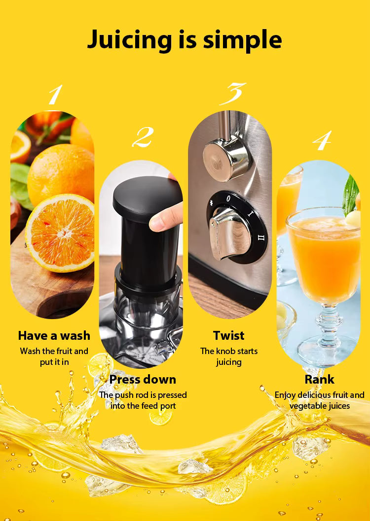 Extracteur de Jus 400W – Centrifugeuse 2 Vitesses 400ML